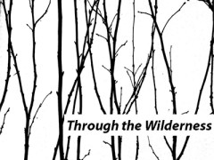 Through wilderness